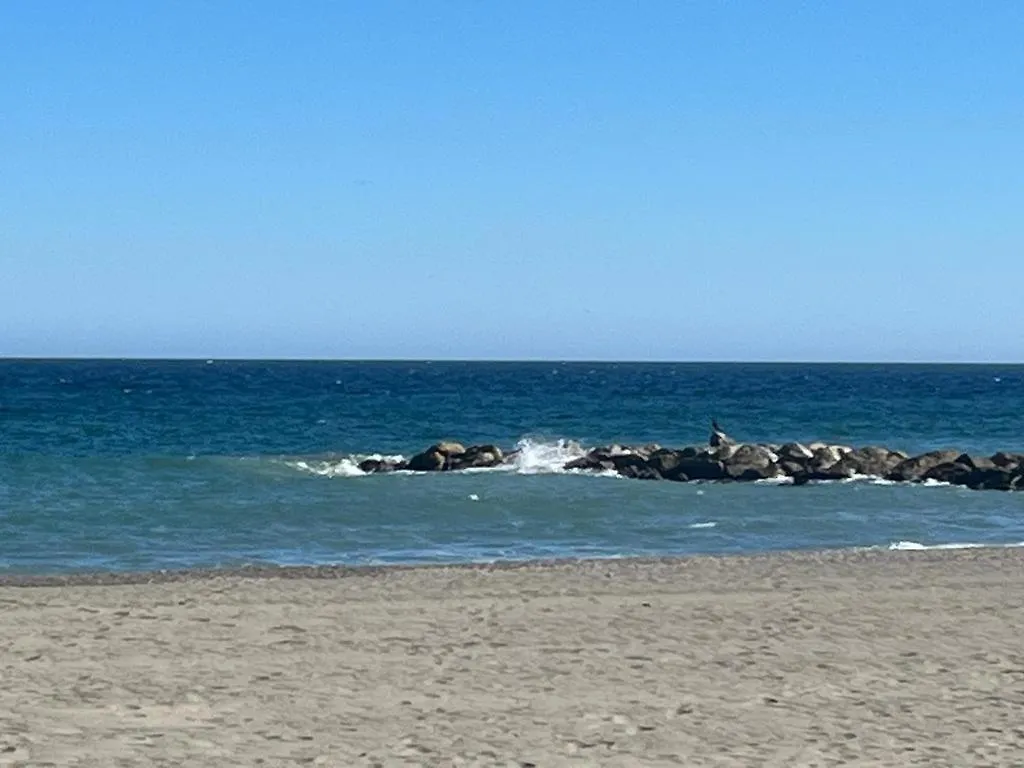 Lyrioshomes Precioso Apartamento Puerto De Estepona